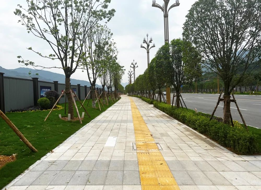 1656301285103947.png 图片7.png