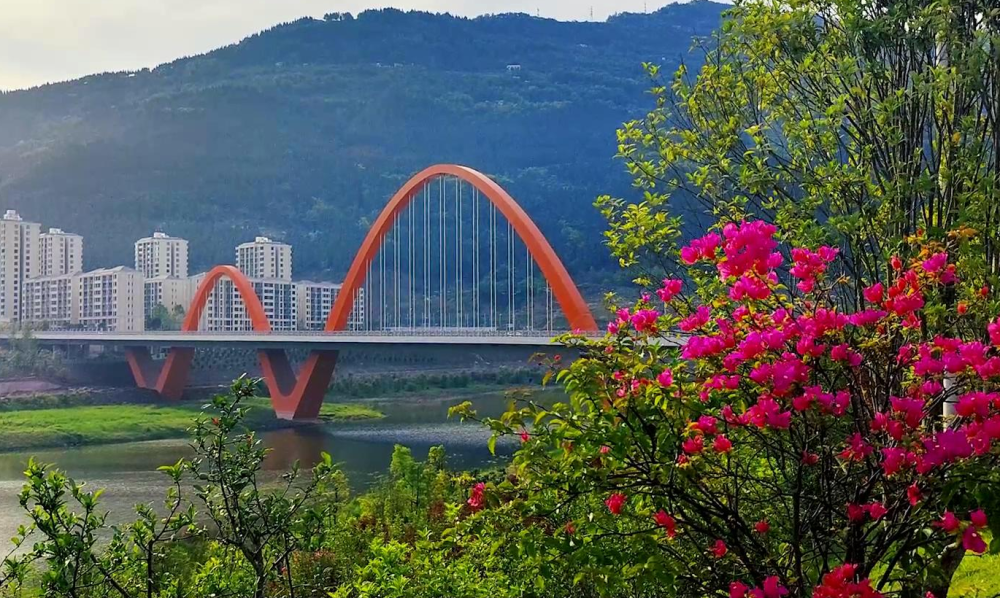 1665480039606852.png 5.png