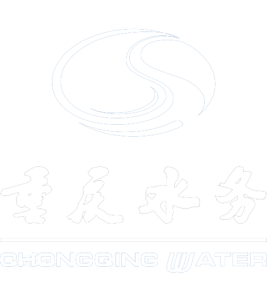 重庆水务集团股份有限公司